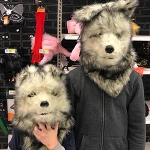 Meet your Posher, Betsy